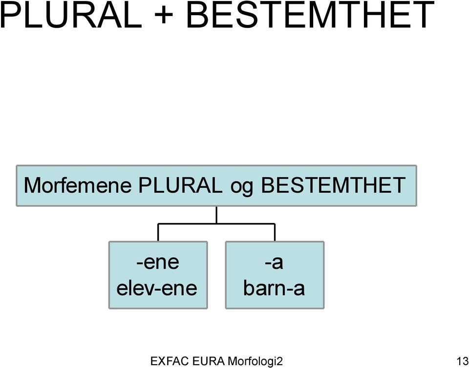 BESTEMTHET -ene elev-ene