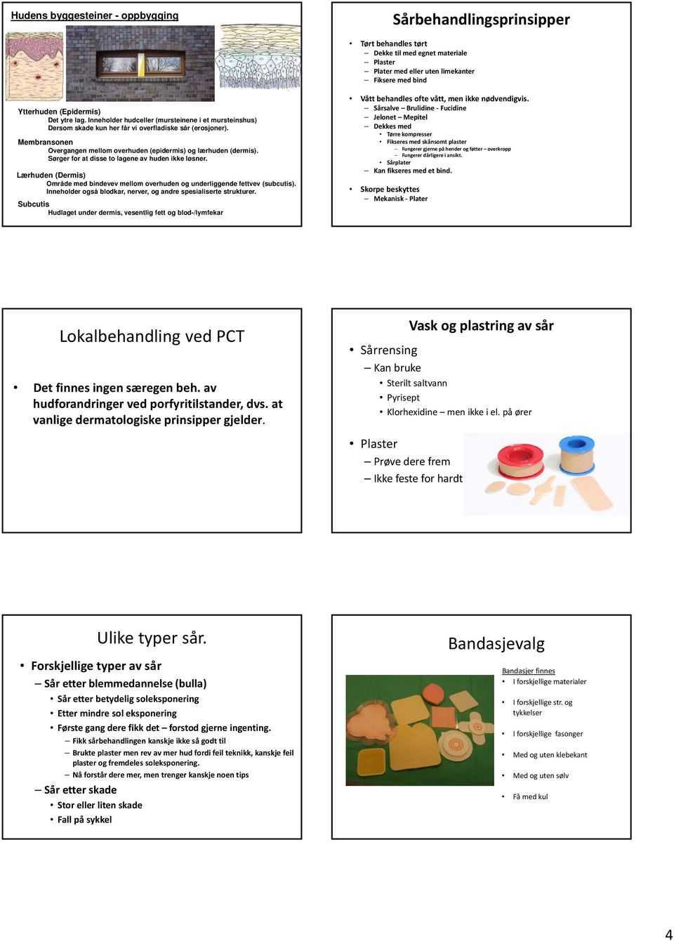 Membransonen Overgangen mellom overhuden (epidermis) og lærhuden (dermis). Sørger for at disse to lagene av huden ikke løsner.