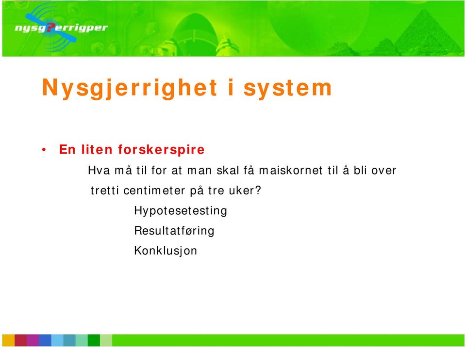 maiskornet til å bli over tretti centimeter