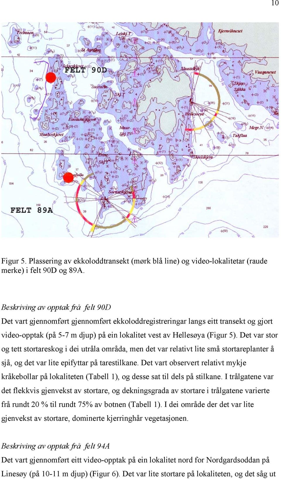 Det var stor og tett stortareskog i dei utråla områda, men det var relativt lite små stortareplanter å sjå, og det var lite epifyttar på tarestilkane.