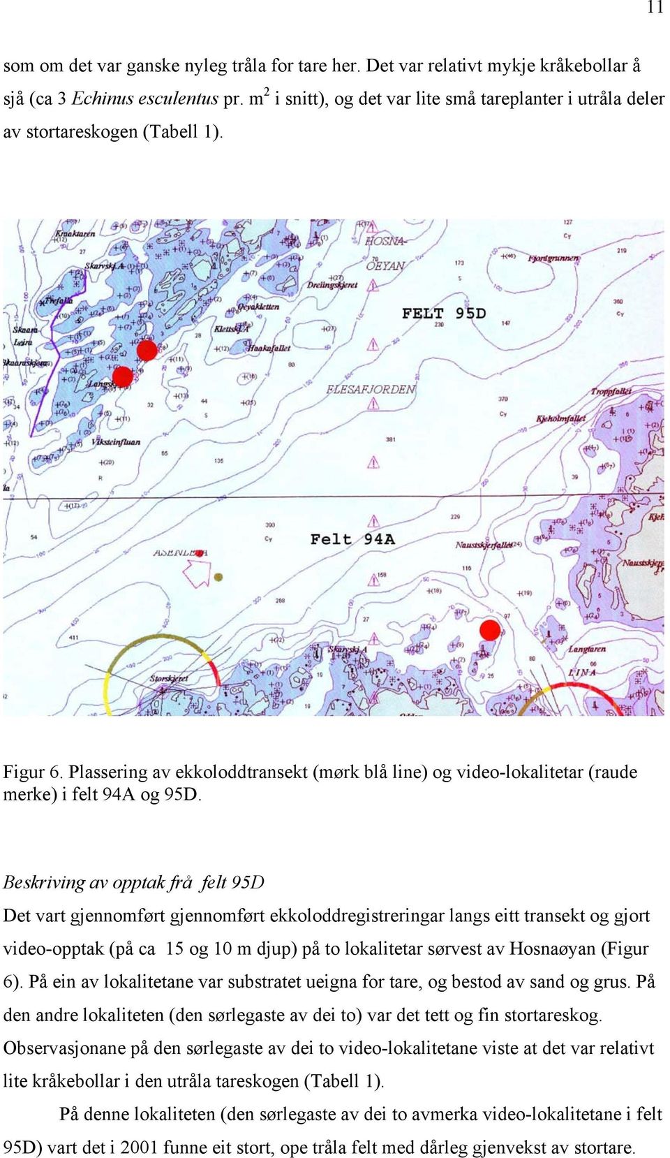 Beskriving av opptak frå felt 95D Det vart gjennomført gjennomført ekkoloddregistreringar langs eitt transekt og gjort video-opptak (på ca 15 og 10 m djup) på to lokalitetar sørvest av Hosnaøyan