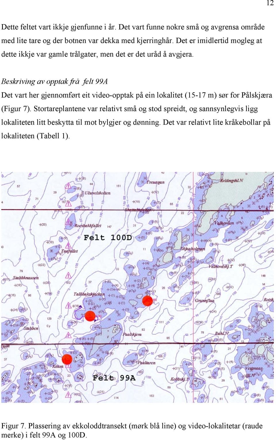 Beskriving av opptak frå felt 99A Det vart her gjennomført eit video-opptak på ein lokalitet (15-17 m) sør for Pålskjæra (Figur 7).
