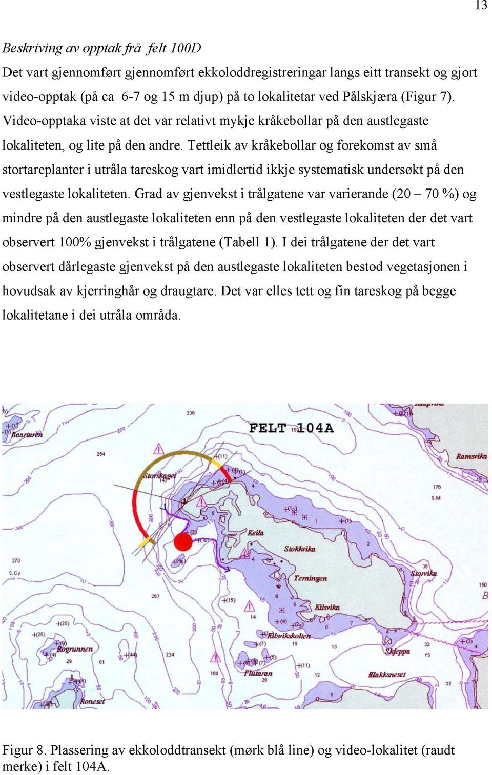 Tettleik av kråkebollar og forekomst av små stortareplanter i utråla tareskog vart imidlertid ikkje systematisk undersøkt på den vestlegaste lokaliteten.