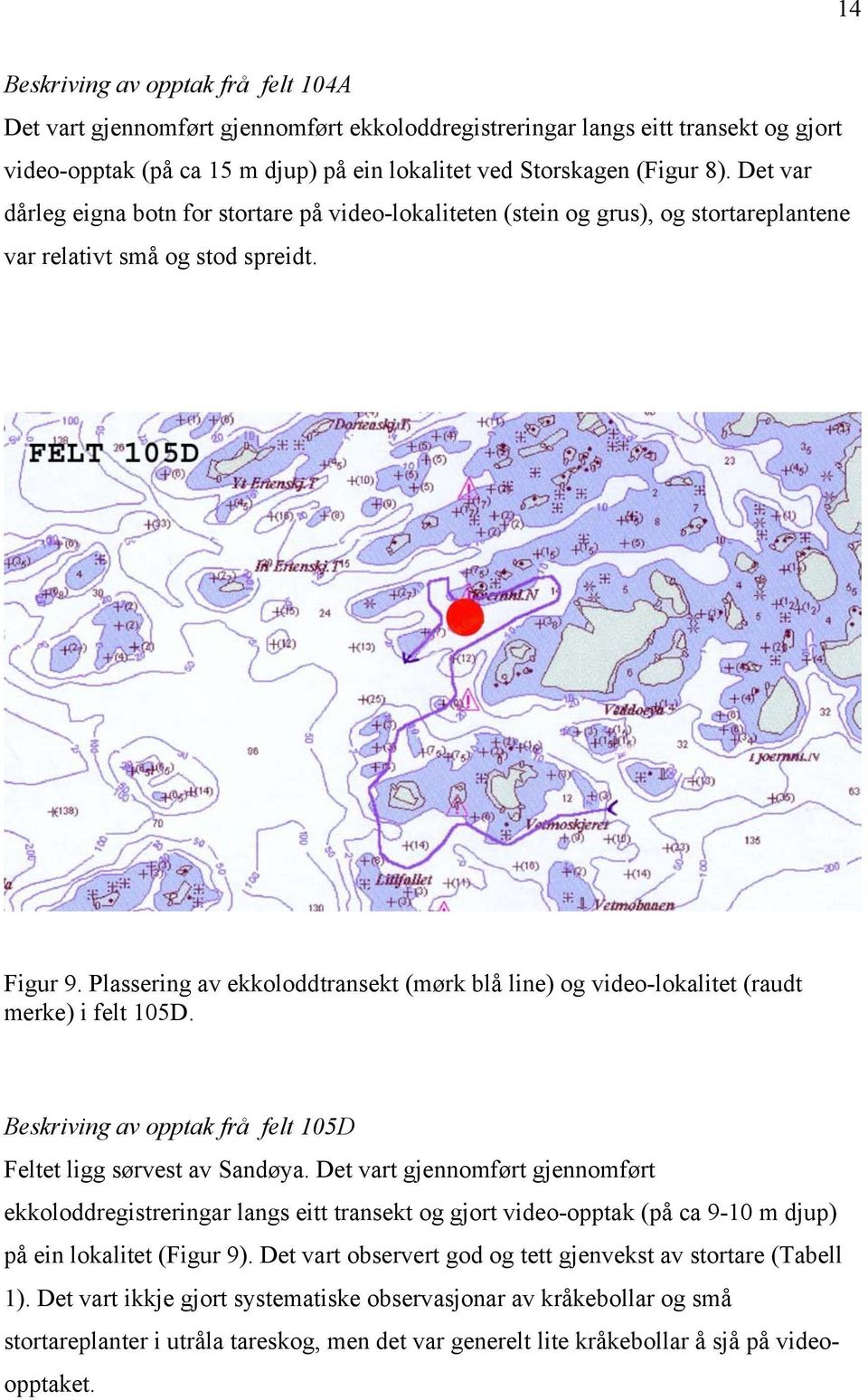 Plassering av ekkoloddtransekt (mørk blå line) og video-lokalitet (raudt merke) i felt 105D. Beskriving av opptak frå felt 105D Feltet ligg sørvest av Sandøya.