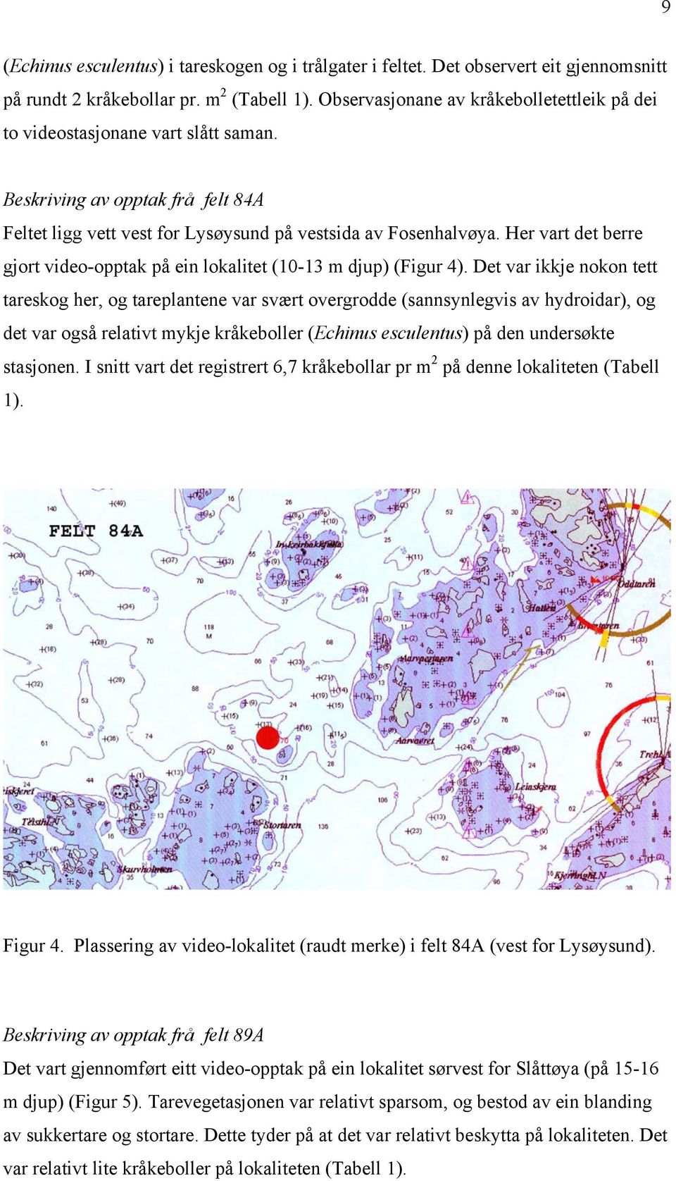 Her vart det berre gjort video-opptak på ein lokalitet (10-13 m djup) (Figur 4).