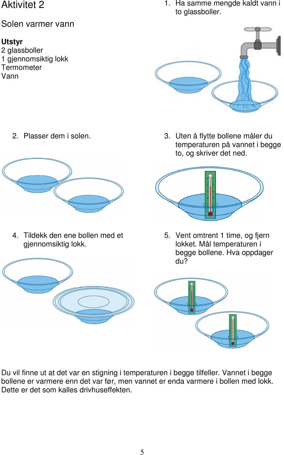 Tildekk den ene bollen med et gjennomsiktig lokk. 5. Vent omtrent 1 time, og fjern lokket. Mål temperaturen i begge bollene. Hva oppdager du?