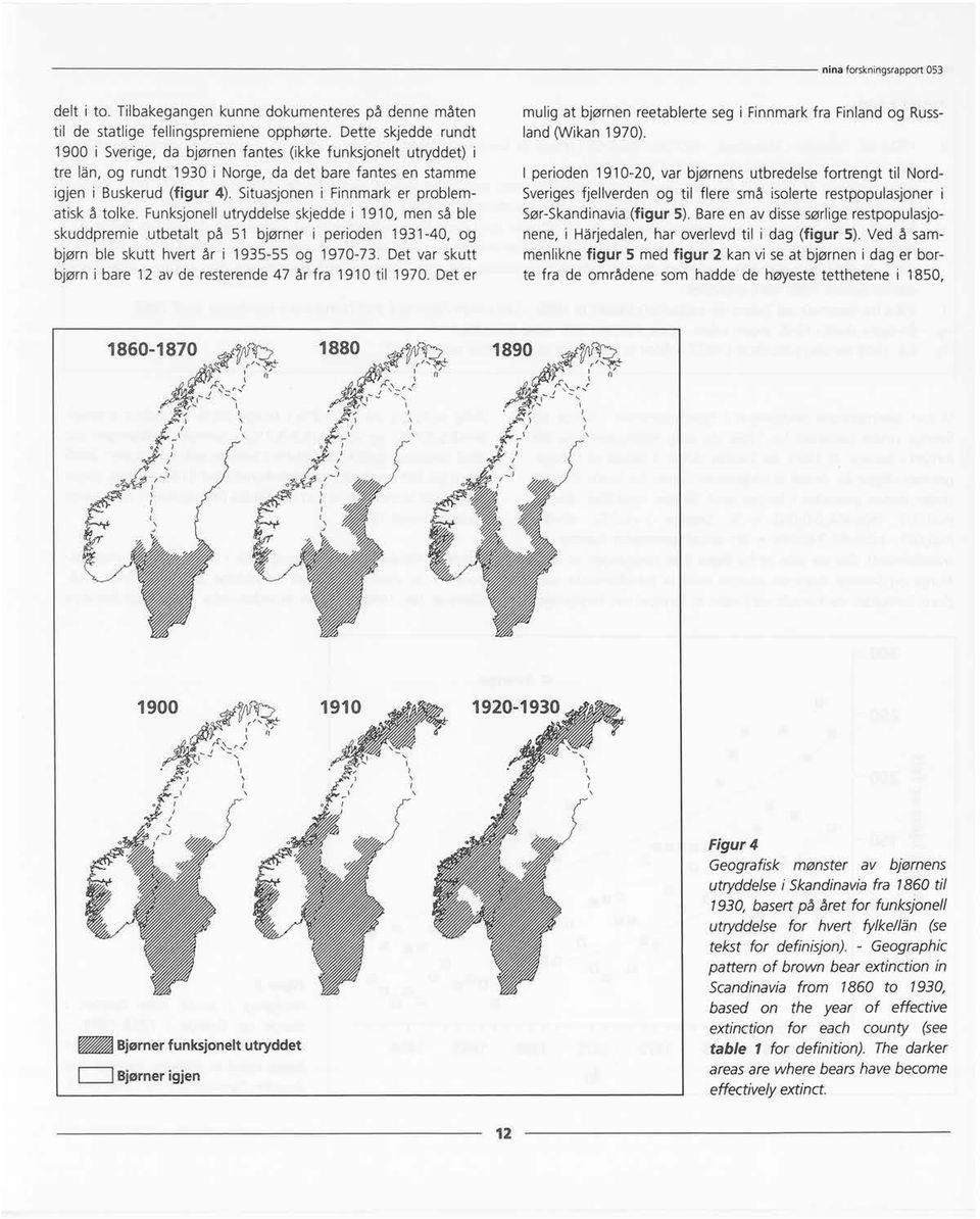 Situasjoneni Finnmark er problematisk å tolke. Funksjonellutryddelseskjedde i 1910, men så ble skuddpremie utbetalt på 51 bjørner i perioden 1931-40, og bjørn ble skutt hvert år i 1935-55 og 1970-73.