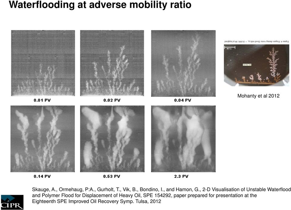 , 2-D Visualisation of Unstable Waterflood and Polymer Flood for Displacement of