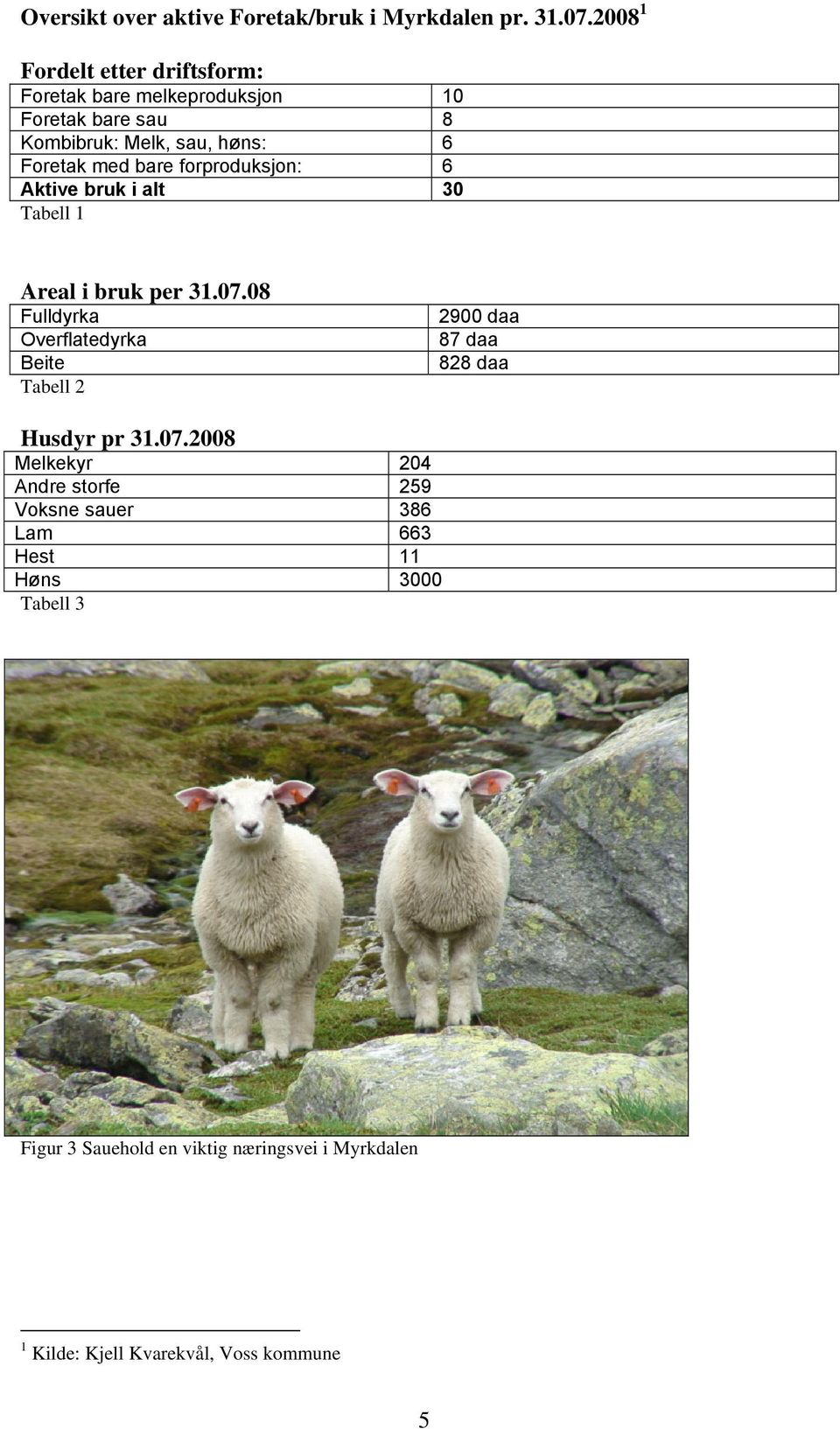 bare forproduksjon: 6 Aktive bruk i alt 30 Tabell 1 Areal i bruk per 31.07.