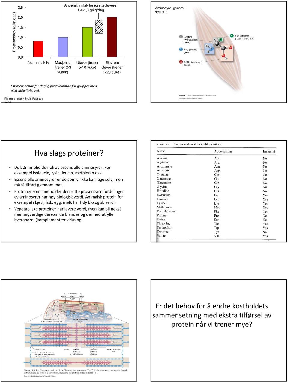 etter Truls Raastad 2008. Hva slags proteiner? De bør inneholde nok av essensielle aminosyrer. For eksempel isoleucin, lysin, leucin, methionin osv.