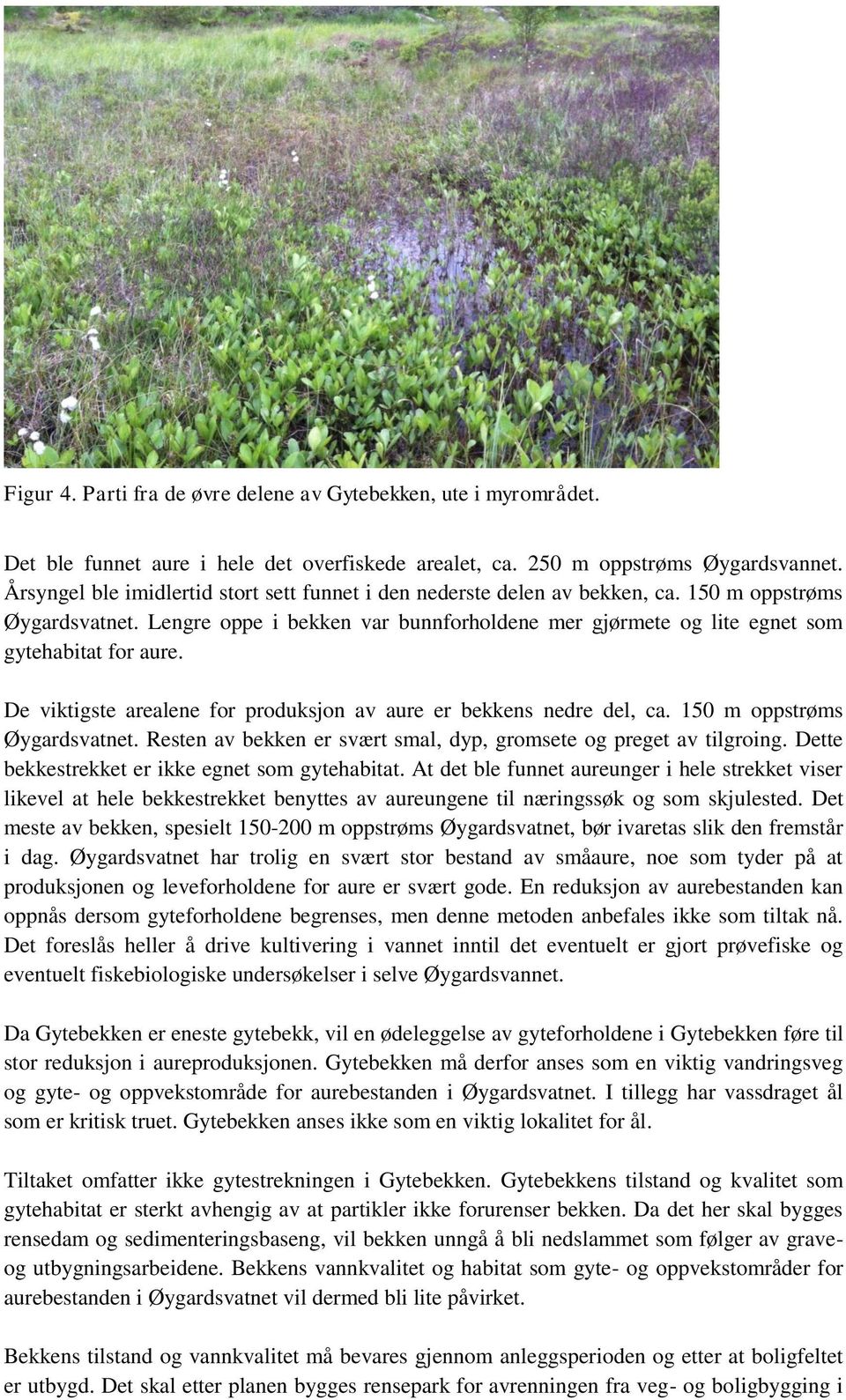 Lengre oppe i bekken var bunnforholdene mer gjørmete og lite egnet som gytehabitat for aure. De viktigste arealene for produksjon av aure er bekkens nedre del, ca. 150 m oppstrøms Øygardsvatnet.