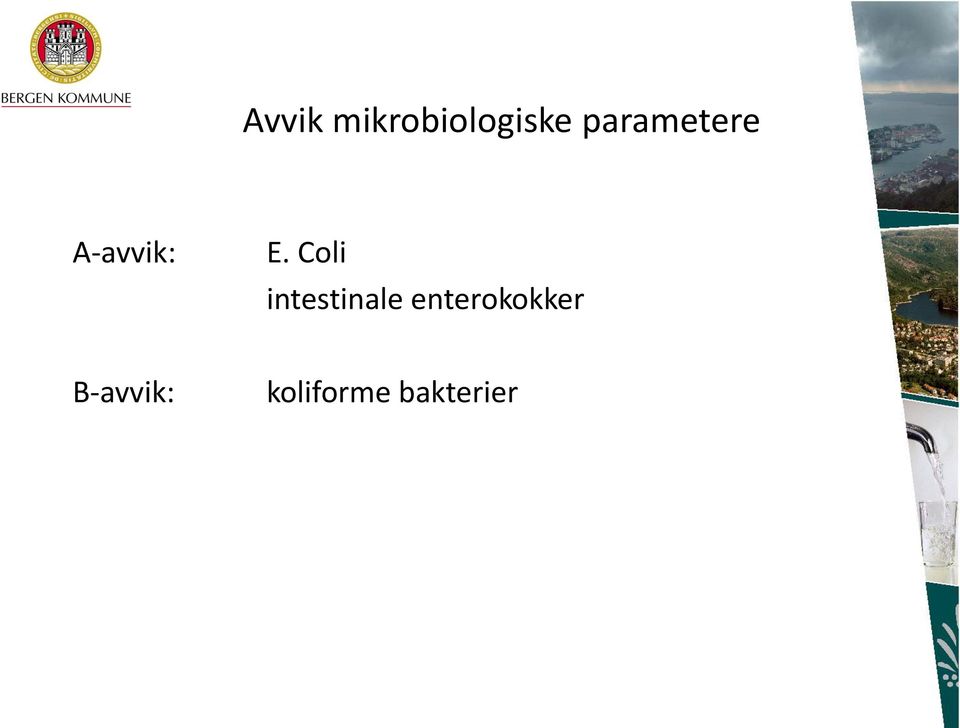 Coli intestinale