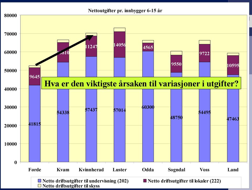 viktigste årsaken til variasjoner i utgifter?