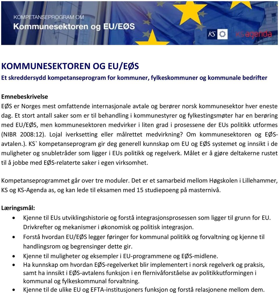 Et stort antall saker som er til behandling i kommunestyrer og fylkestingsmøter har en berøring med EU/EØS, men kommunesektoren medvirker i liten grad i prosessene der EUs politikk utformes (NIBR