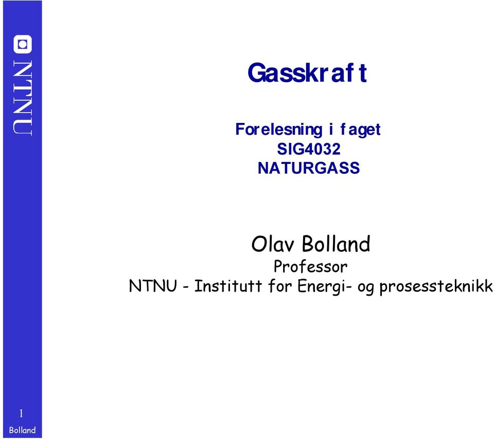 Olav Professor NTNU -