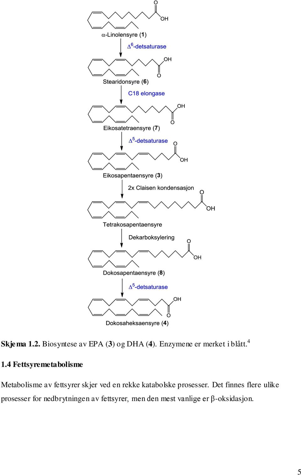 4 Fettsyremetabolisme Metabolisme av fettsyrer skjer ved en rekke