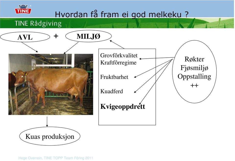 Kraftfôrregime Fruktbarhet Kuadferd