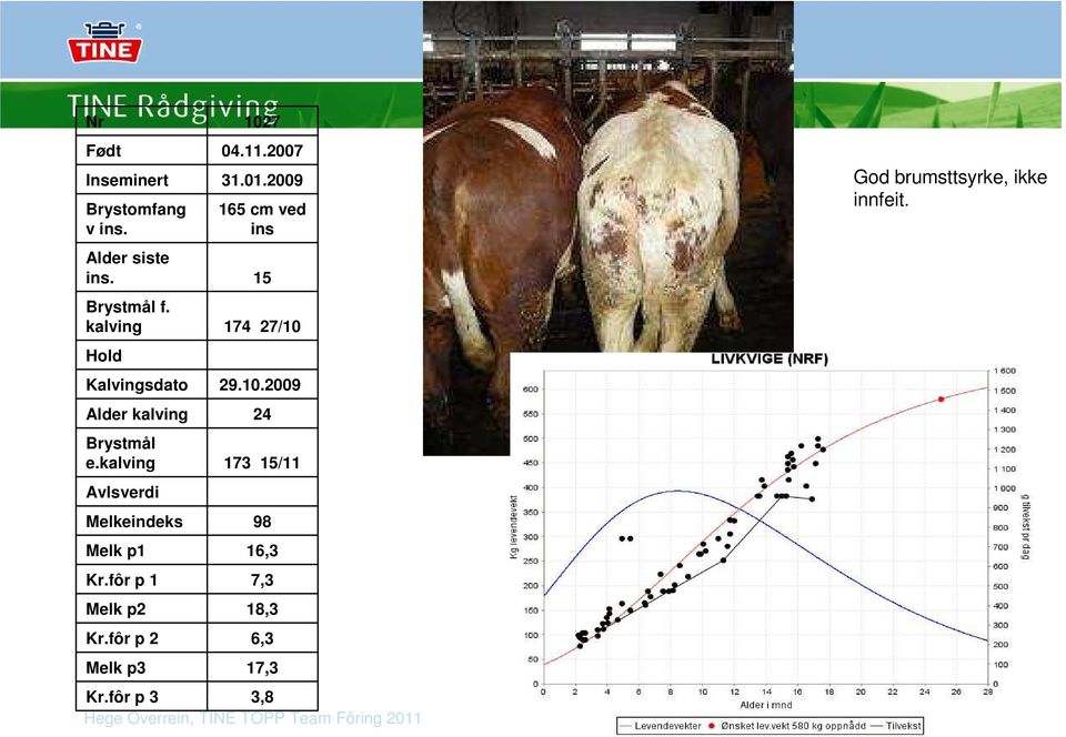 kalving Avlsverdi Melkeindeks Melk p1 Kr.fôr p 1 Melk p2 Kr.fôr p 2 Melk p3 1027 04.11.