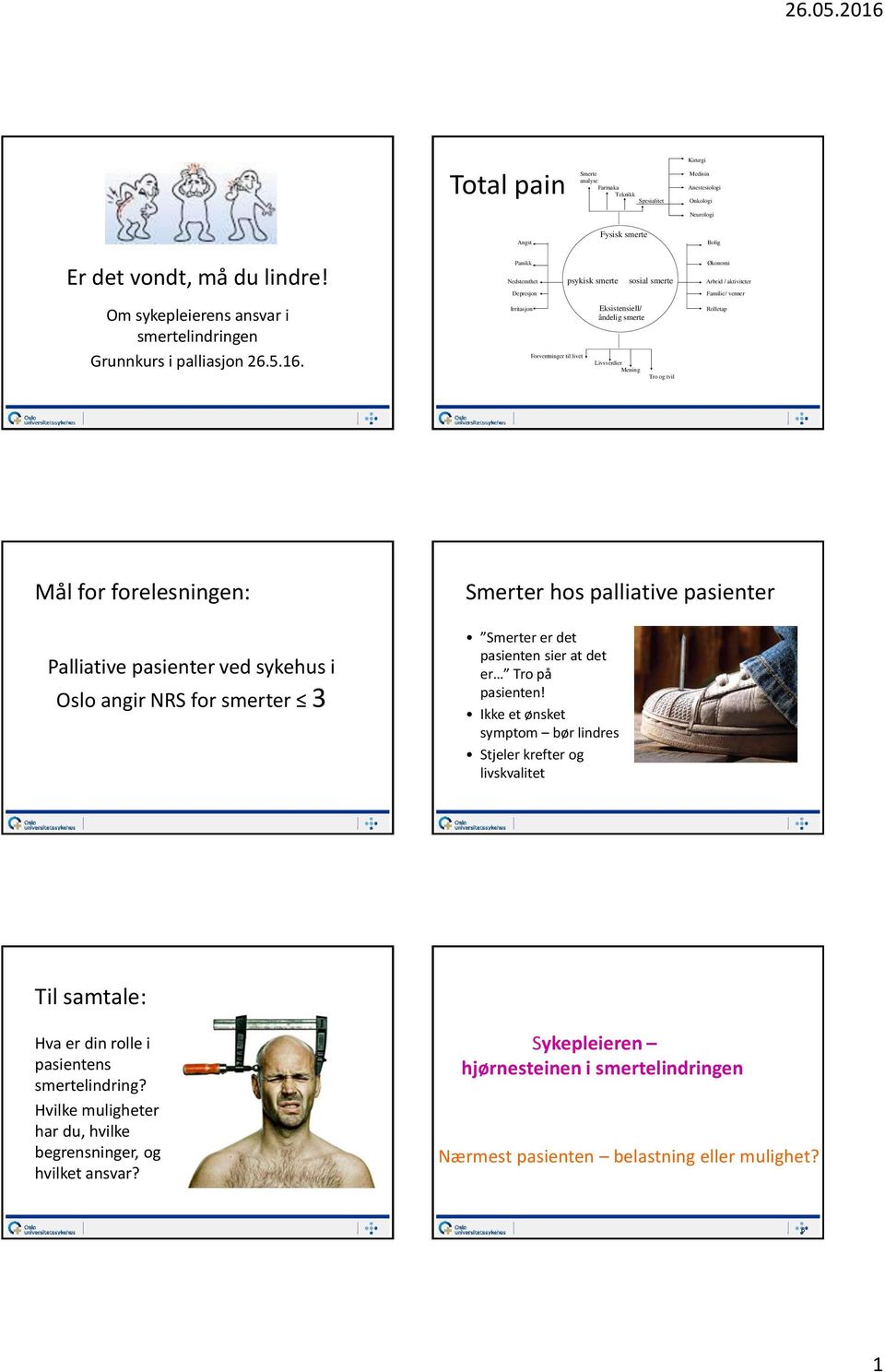 Panikk Økonomi Nedstemthet psykisk smerte sosial smerte Arbeid / aktiviteter Depresjon Familie/ venner Irritasjon Eksistensiell/ Rolletap åndelig smerte Forventninger til livet Livsverdier Mening Tro