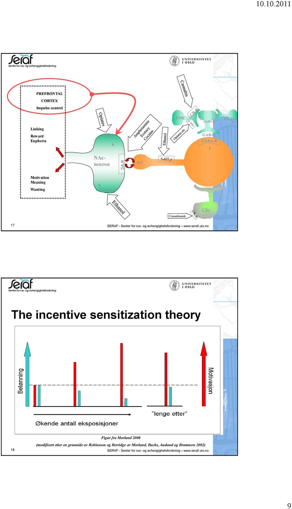 r Motivation Meaning Wanting NDMA-R Cannabinoids Glu 17 SERAF - Senter for rus- og avhengighetsforskning www.seraf.uio.