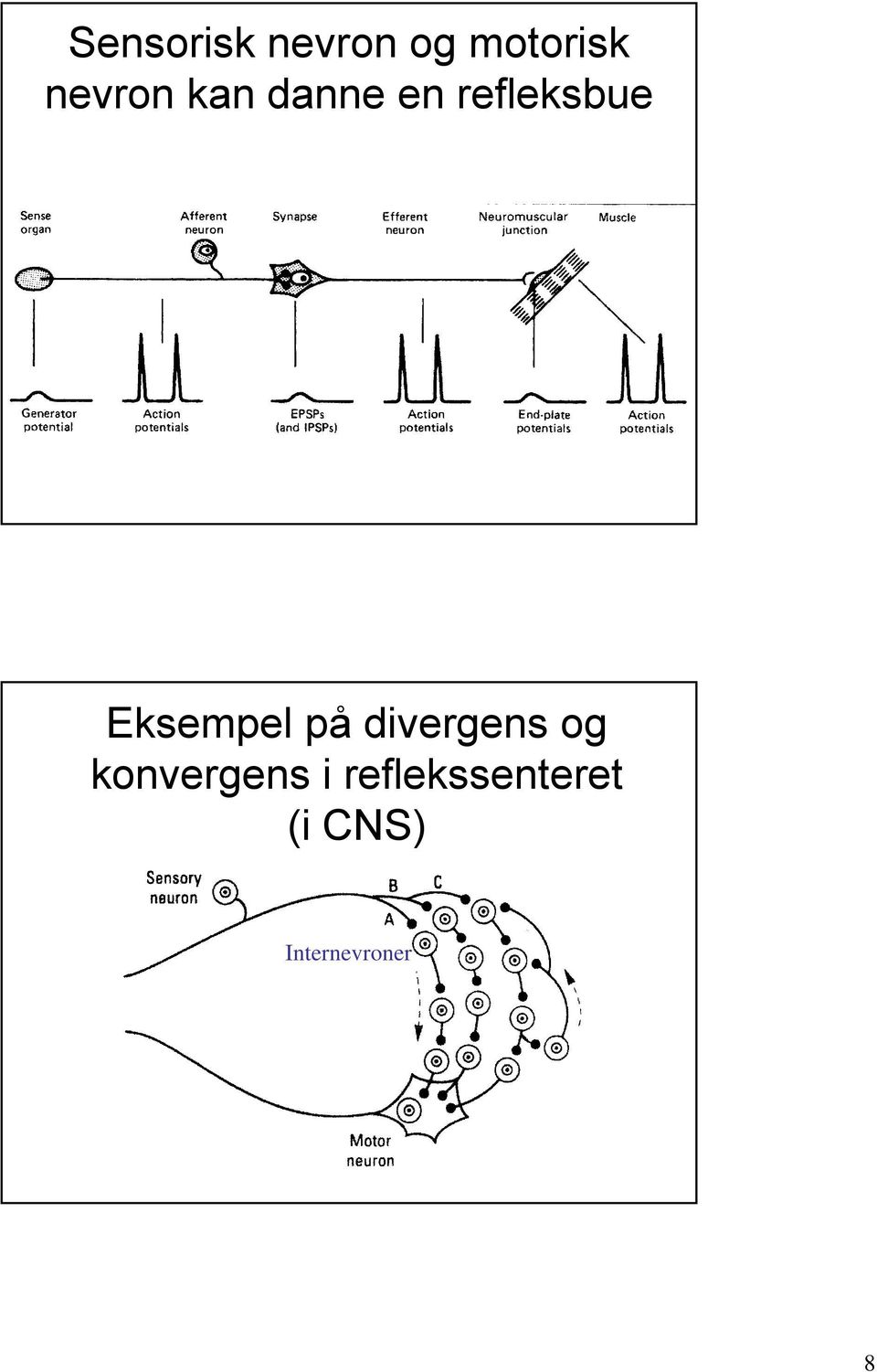 Eksempel på divergens og