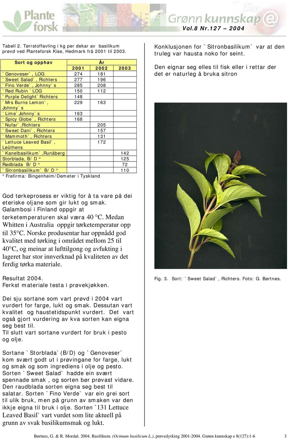 163 Johnny`s `Lime`Johnny`s 163 `Spicy Globe`, Richters 168 `Nufar`,Richters 205 `Sweet Dani`, Richters 157 `Mammoth`, Richters 131 `Lettuce Leaved Basil`, 172 Leüthens `Kanelbasilikum`,Runåberg 142