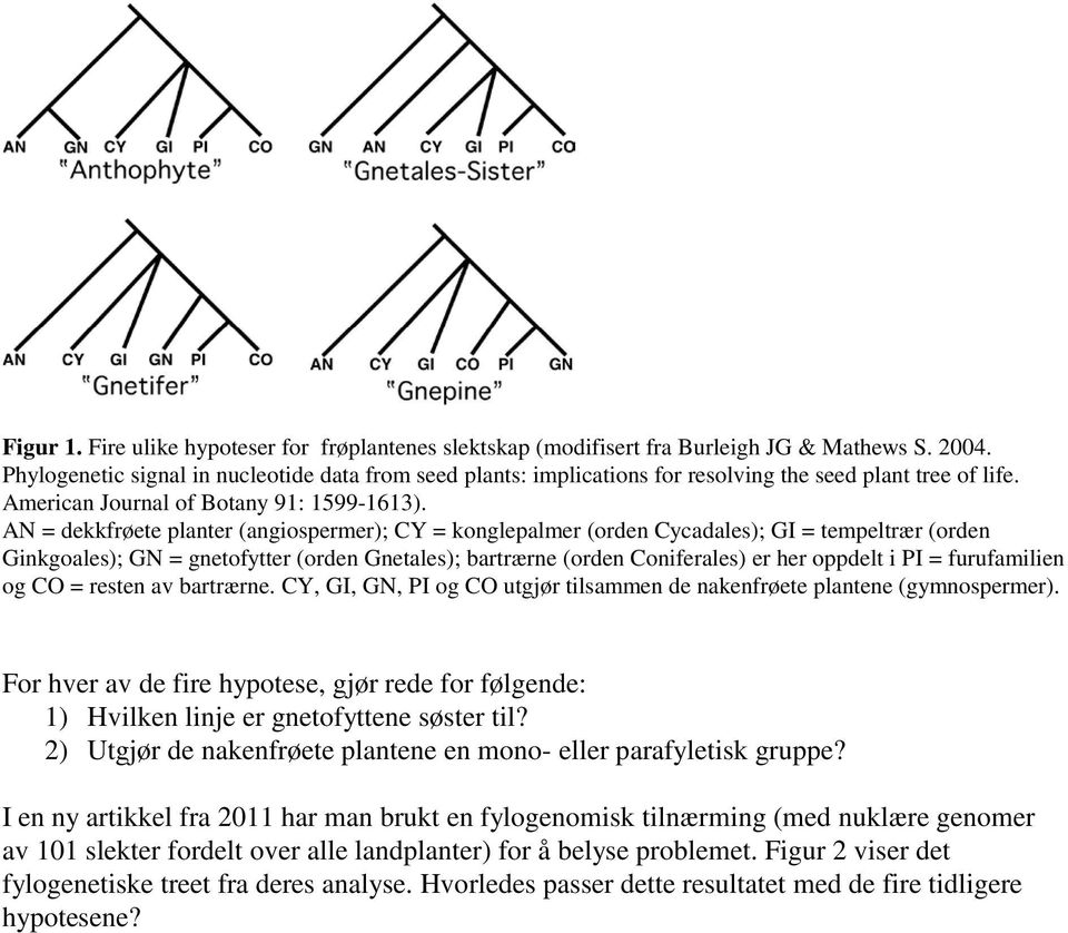 AN = dekkfrøete planter (angiospermer); CY = konglepalmer (orden Cycadales); GI = tempeltrær (orden Ginkgoales); GN = gnetofytter (orden Gnetales); bartrærne (orden Coniferales) er her oppdelt i PI =