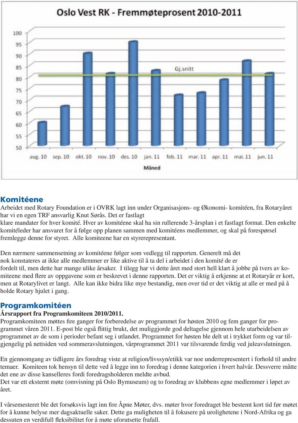 Den enkelte komitéleder har ansvaret for å følge opp planen sammen med komitéens medlemmer, og skal på forespørsel fremlegge denne for styret. Alle komiteene har en styrerepresentant.