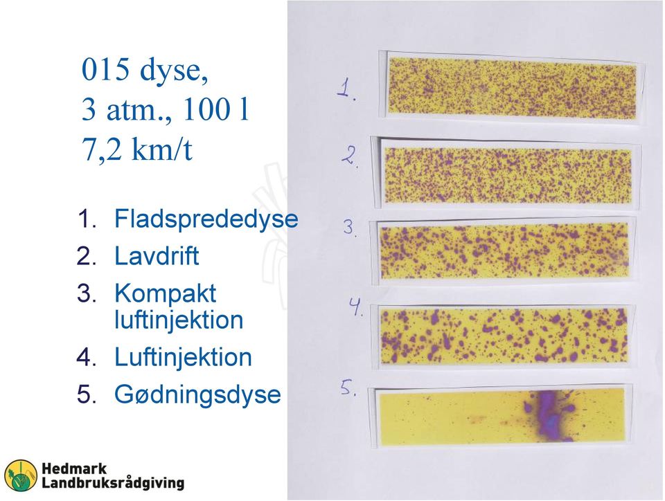 Fladsprededyse 2. Lavdrift 3.