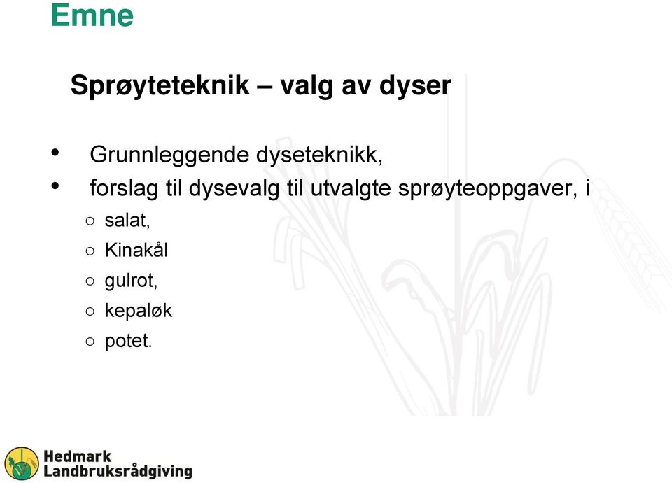 til dysevalg til utvalgte