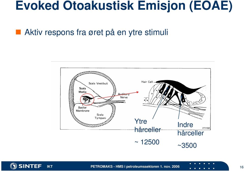 på en ytre stimuli Ytre