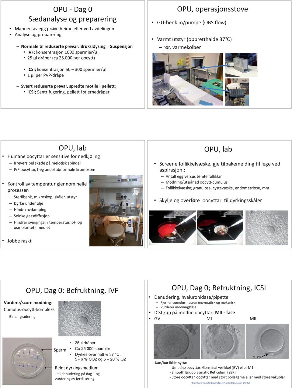 000 per oocytt) OPU, operasjonsstove GU-benk m/pumpe (OBS flow) Varmt utstyr (oppretthalde 37 C) rør, varmekolber ICSI; konsentrasjon 50 300 spermier/μl 1 μl per PVP-dråpe Svært reduserte prøvar,