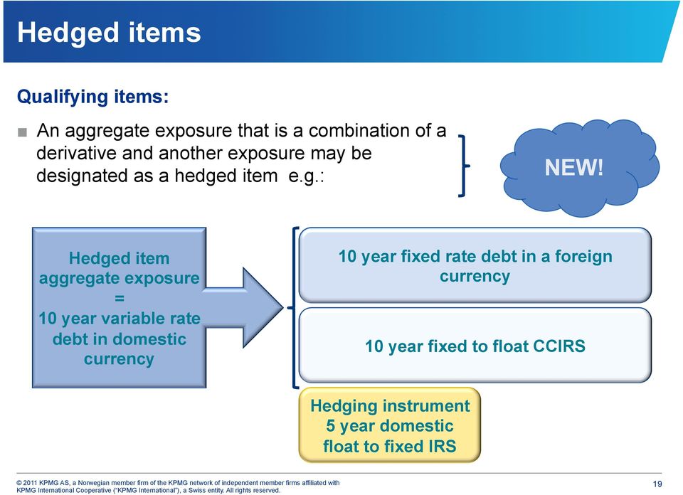 Hedged item aggregate exposure = 10 year variable rate debt in domestic currency 10 year