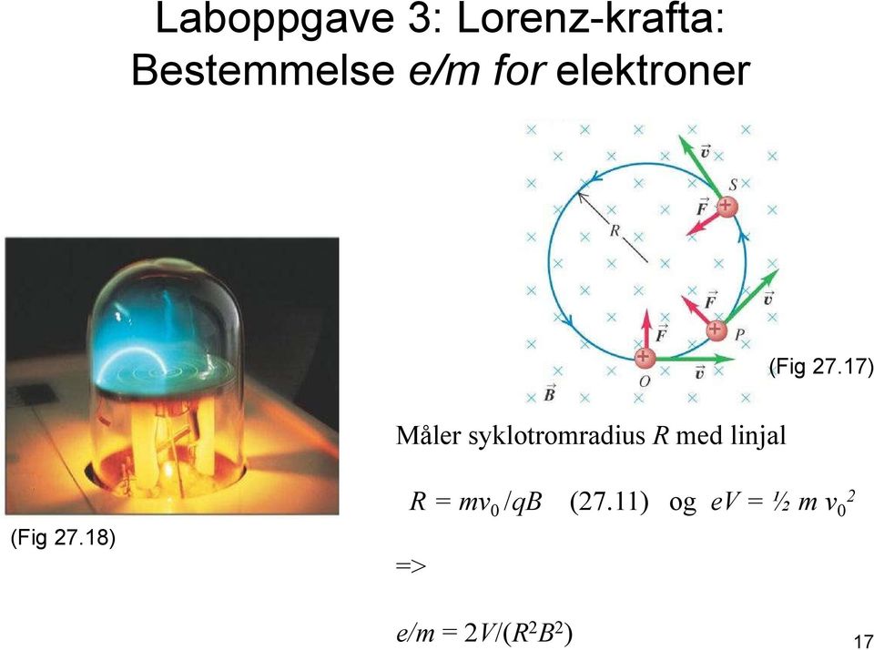 17) Måler syklotromradius R med linjal (Fig 27.