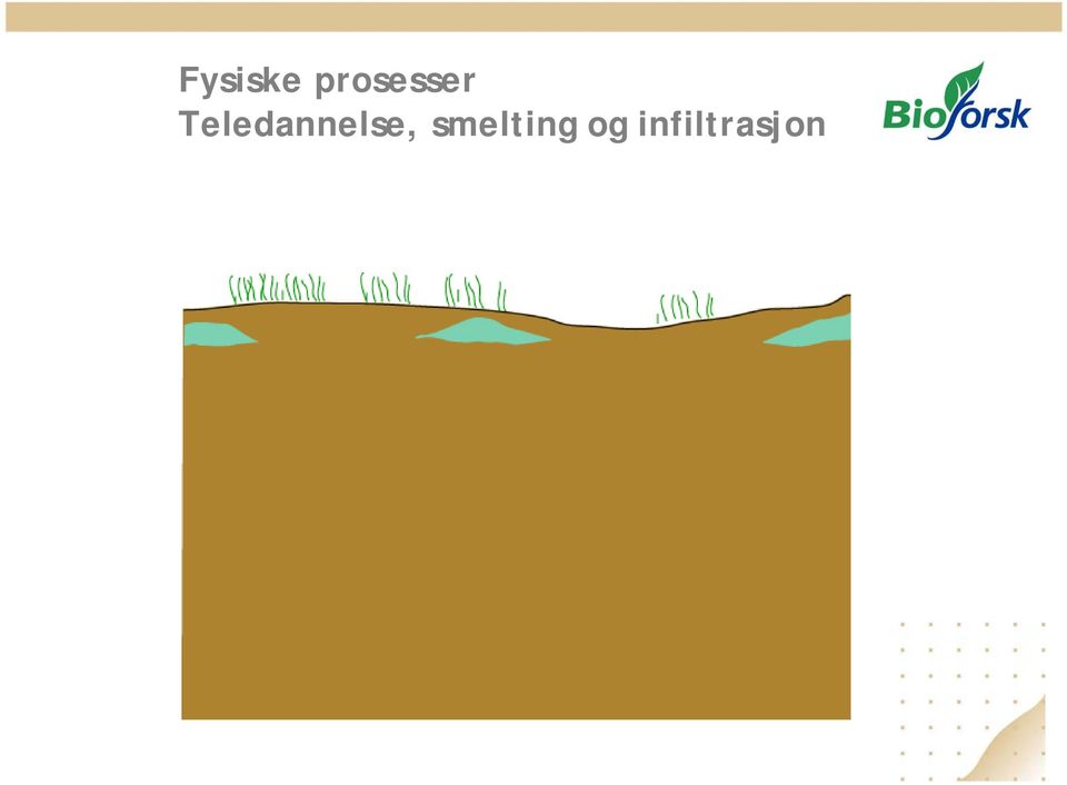 Teledannelse,