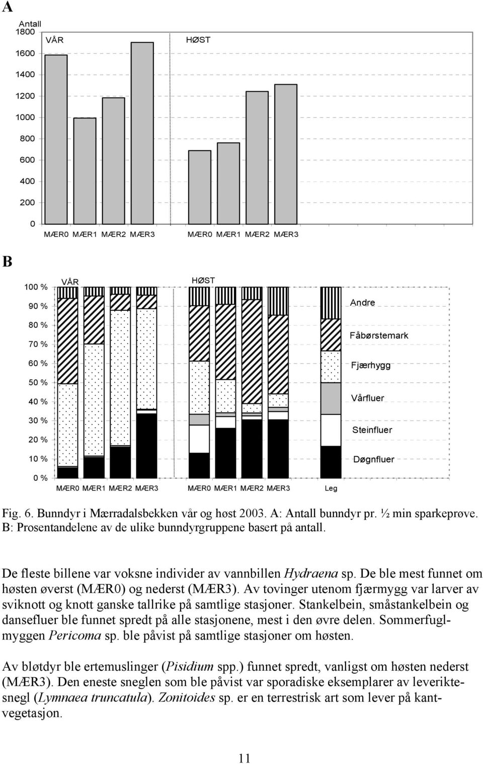 B: Prosentandelene av de ulike bunndyrgruppene basert på antall. De fleste billene var voksne individer av vannbillen Hydraena sp. De ble mest funnet om høsten øverst (MÆR0) og nederst (MÆR3).