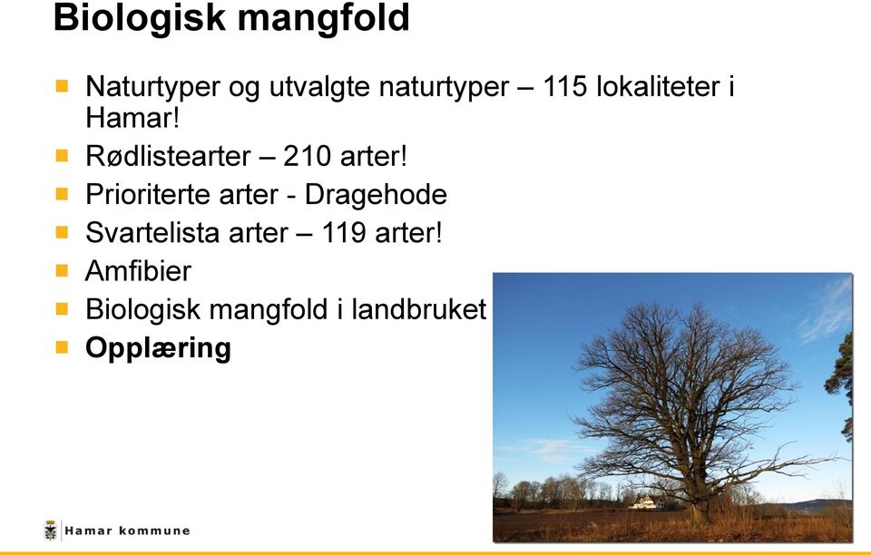 Prioriterte arter - Dragehode Svartelista arter 119