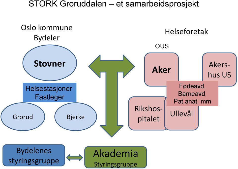 Rikshospitalet Helseforetak Fødeavd, Barneavd, Pat.anat.