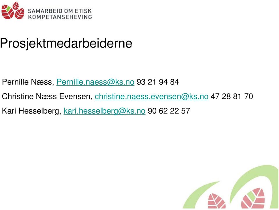 no 93 21 94 84 Christine Næss Evensen,