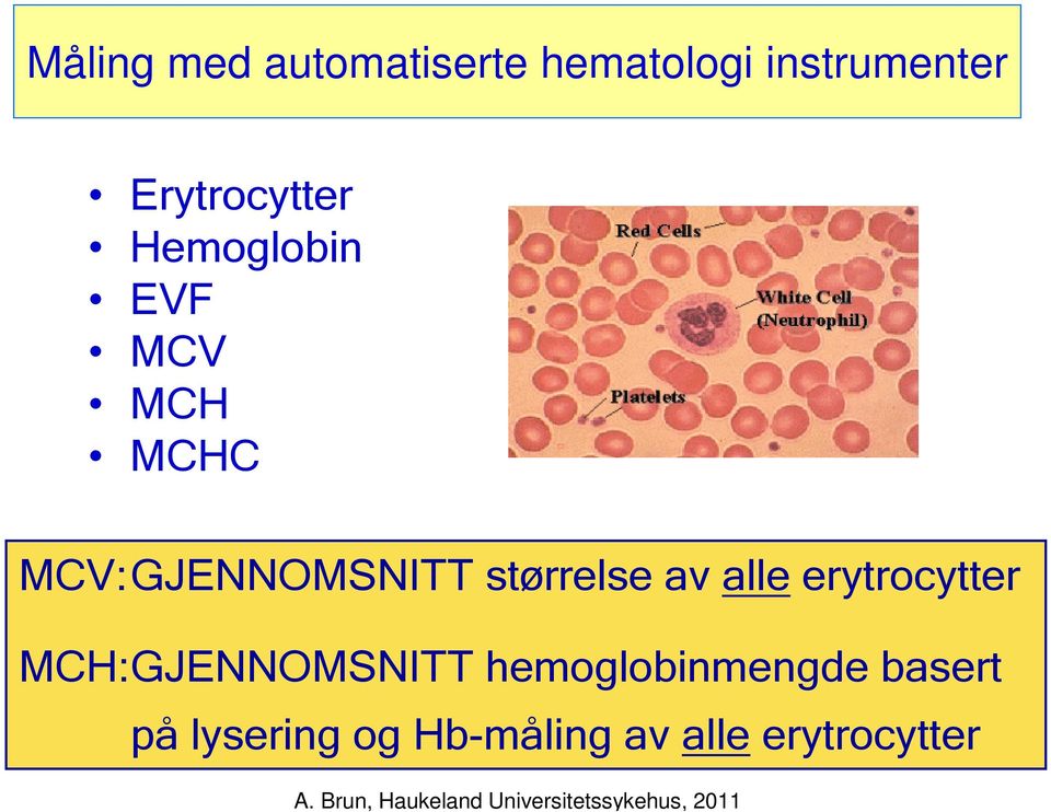 MCV:GJENNOMSNITT størrelse av alle erytrocytter