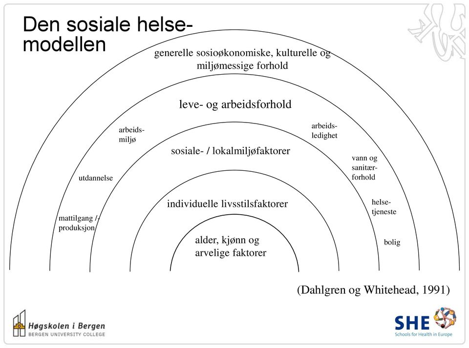 arbeidsledighet vann og sanitærforhold mattilgang /- produksjon individuelle