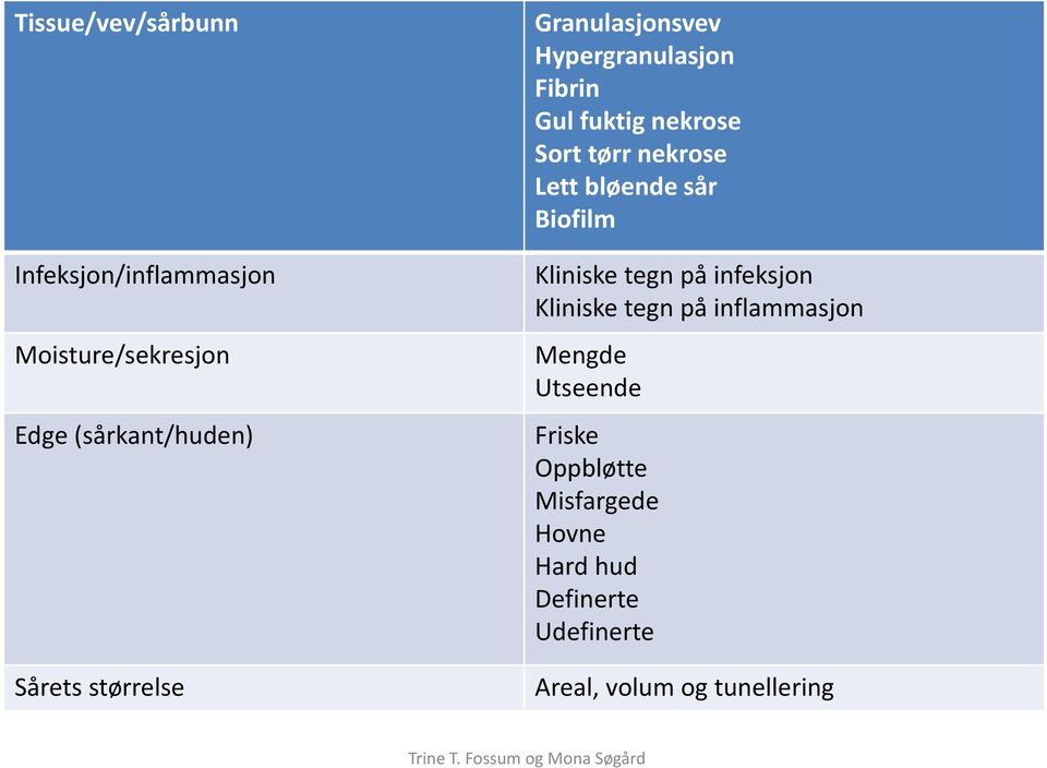 bløende sår Biofilm Kliniske tegn på infeksjon Kliniske tegn på inflammasjon Mengde