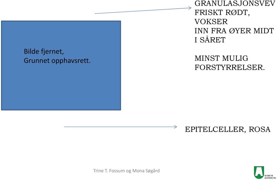 INN FRA ØYER MIDT I SÅRET MINST