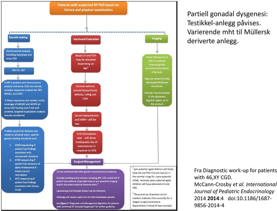 Fra Diagnostic work-up for patients with 46,XY CGD.