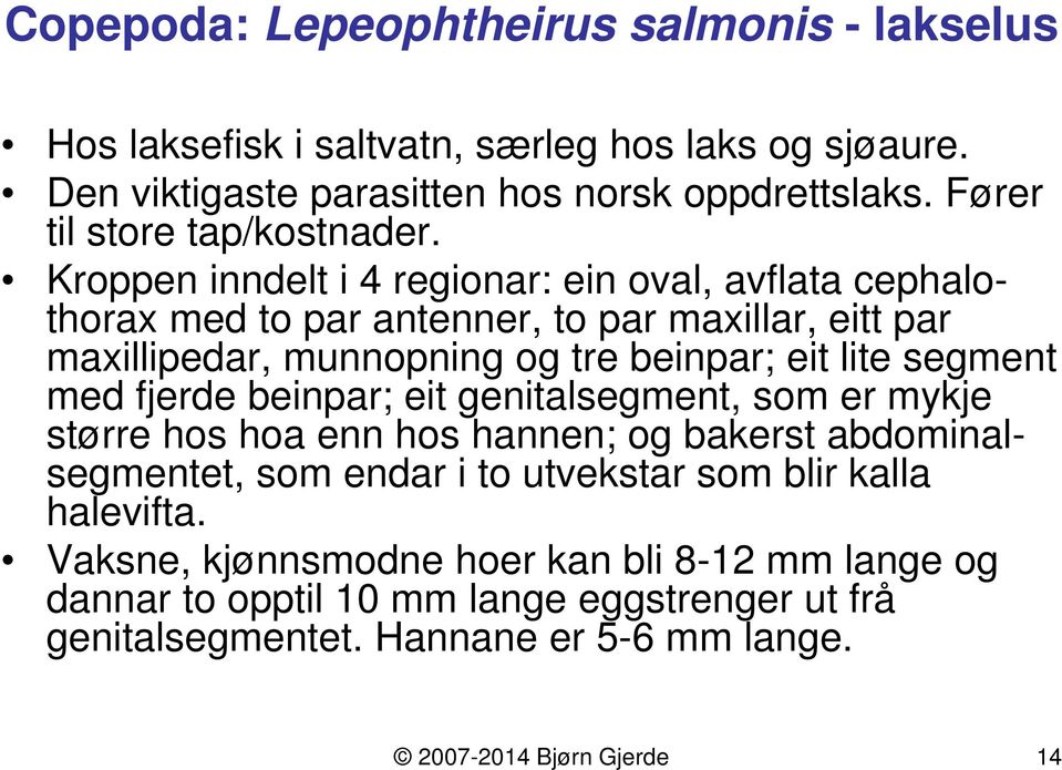 Kroppen inndelt i 4 regionar: ein oval, avflata cephalothorax med to par antenner, to par maxillar, eitt par maxillipedar, munnopning og tre beinpar; eit lite segment