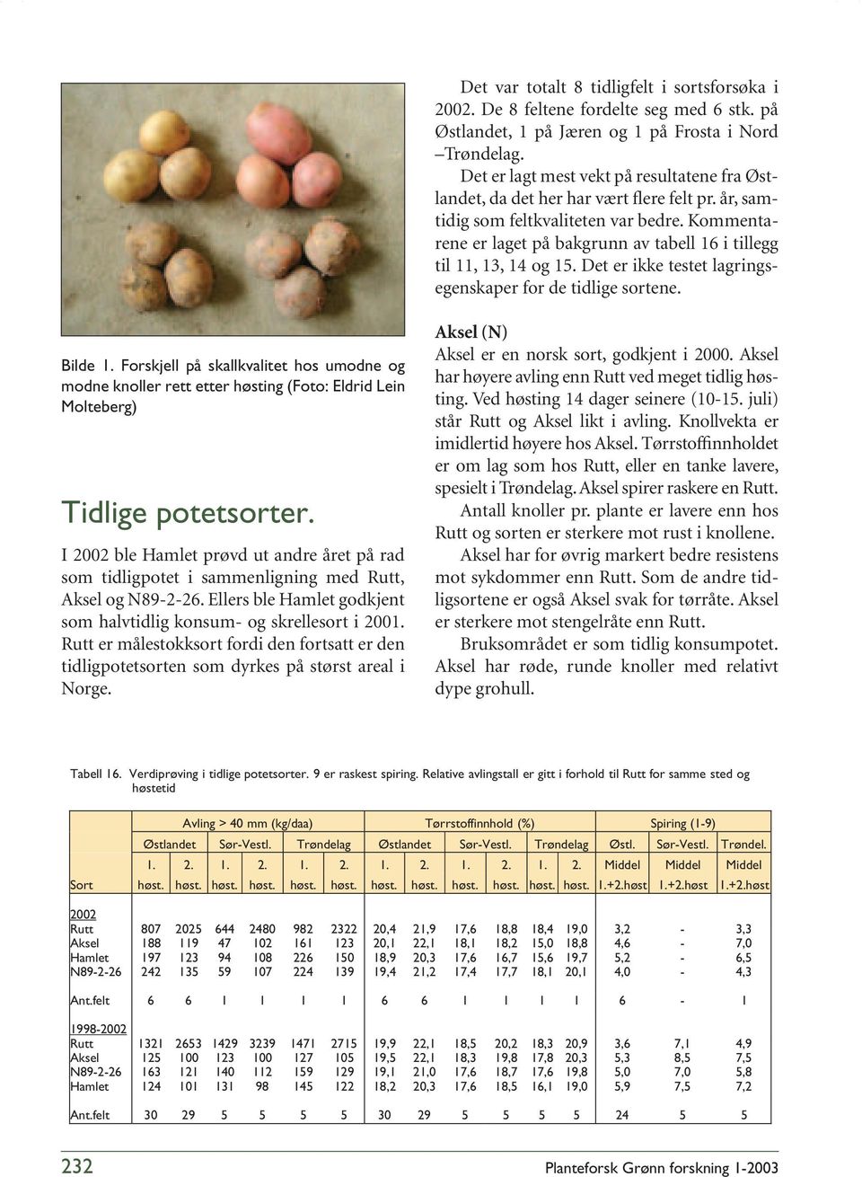 Det er ikke testet lagringsegenskaper for de tidlige sortene. Bilde. Forskjell på skallkvalitet hos umodne og modne knoller rett etter høsting (Foto: Eldrid Lein Molteberg) Tidlige potetsorter.