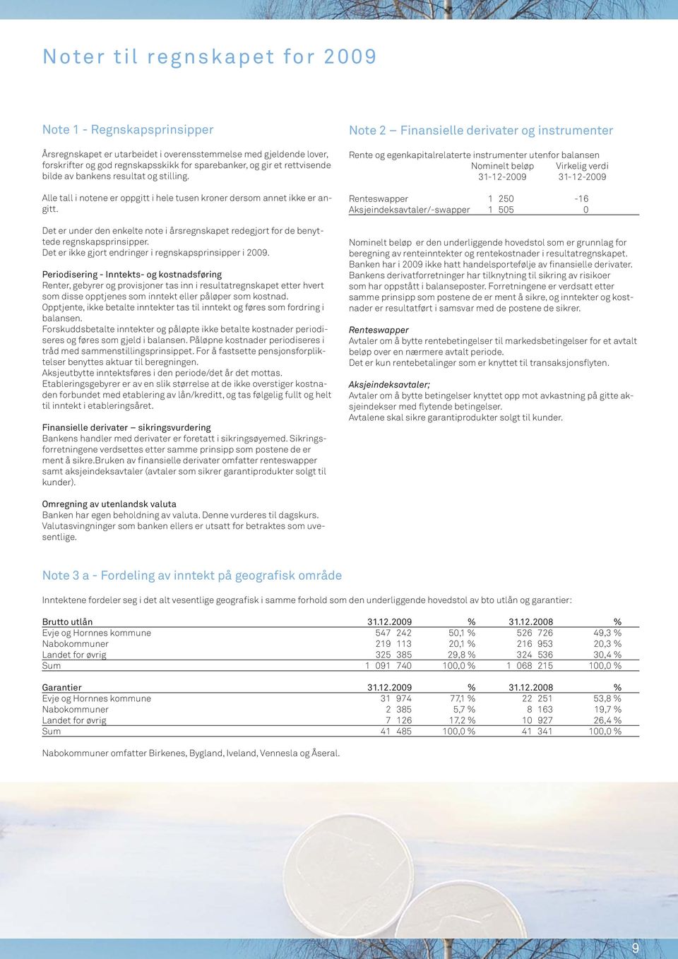 Det er under den enkelte note i årsregnskapet redegjort for de benyttede regnskapsprinsipper. Det er ikke gjort endringer i regnskapsprinsipper i 2009.