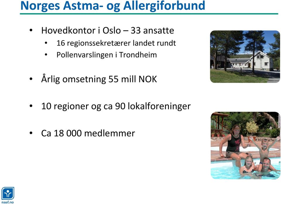 Pollenvarslingen i Trondheim Årlig omsetning 55 mill