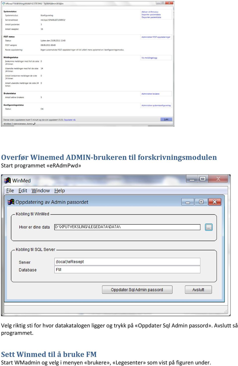 «Oppdater Sql Admin passord». Avslutt så programmet.