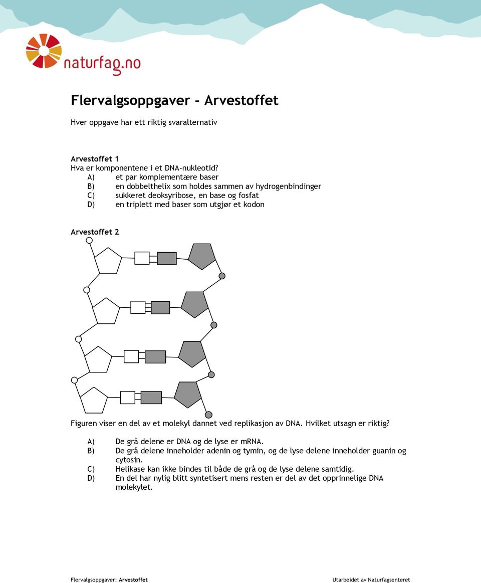 Arvestoffet 2 Figuren viser en del av et molekyl dannet ved replikasjon av DNA. vilket utsagn er riktig? A) De grå delene er DNA og de lyse er mrna.